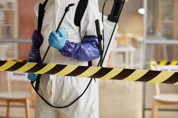 Professional Sewage Cleanup technician working in Loomis, NE